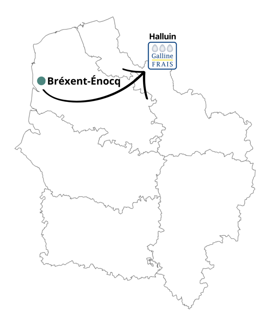 Hedin